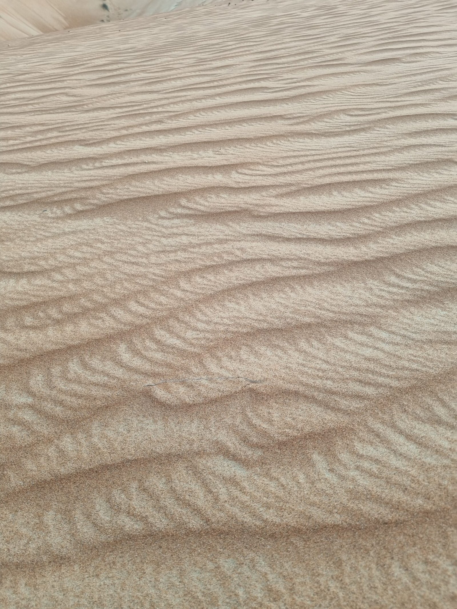 desert oman 1